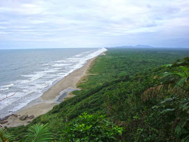 Restinga. Praia da Jureia Restinga. Praia da Jureia