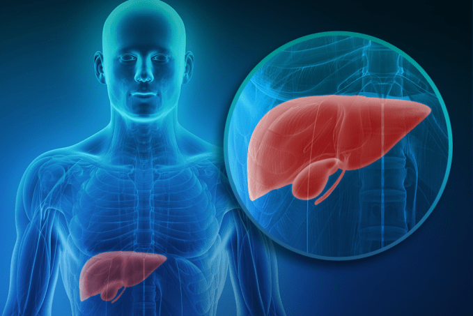 Hepatites