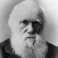 darwin darwin