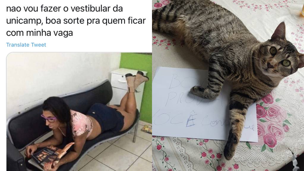 Como foi o primeiro dia da Unicamp segundo os memes nas redes sociais