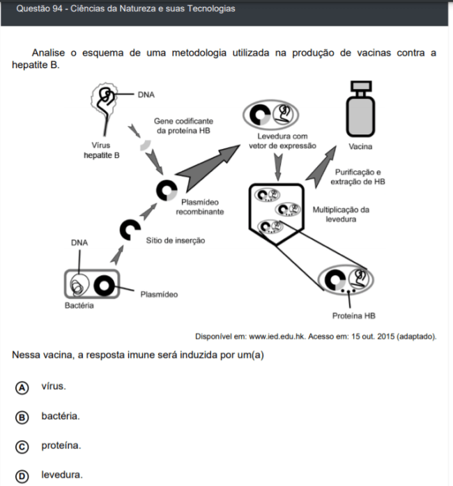 Questão sobre vacina