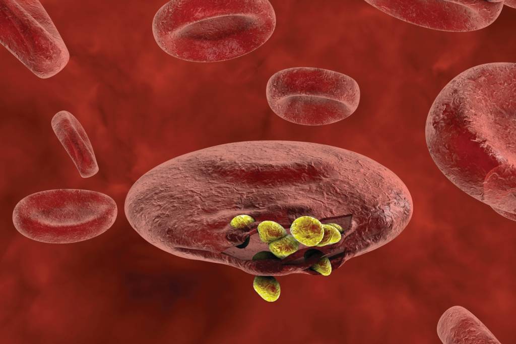 Qual é a diferença entre vírus e protozoário?