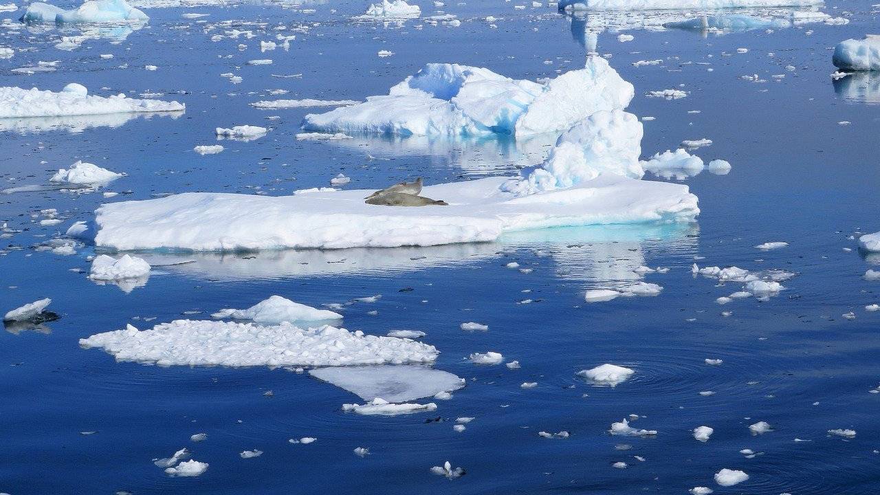 Oceano Antártico