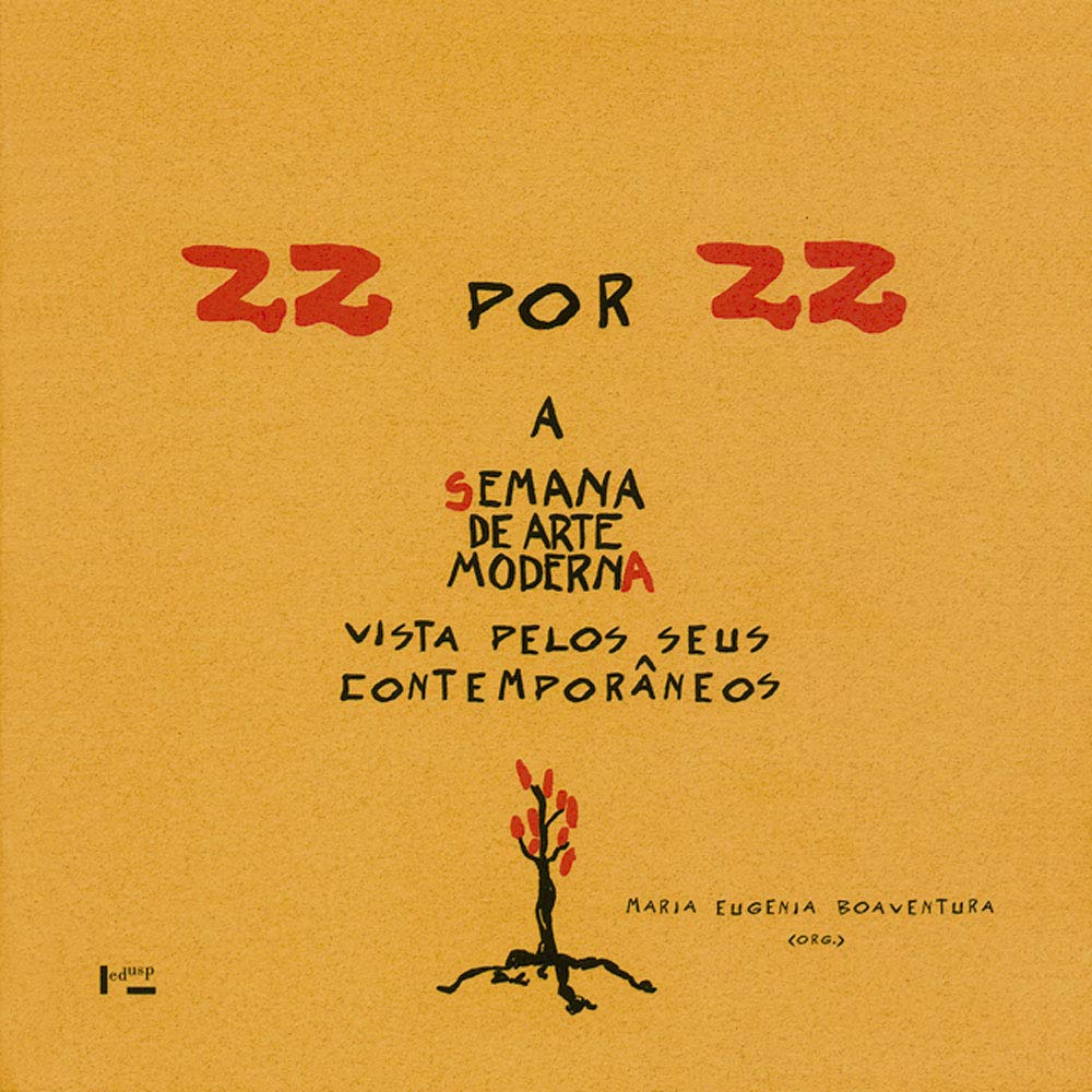 22 por 22 Capa do livro