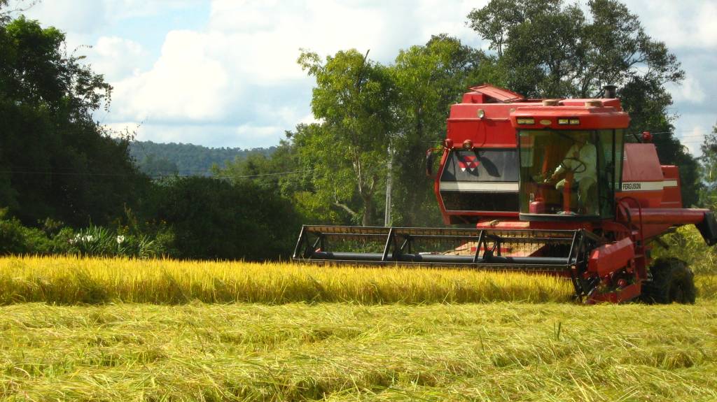 Qual a diferença entre agropecuária e agronegócio?