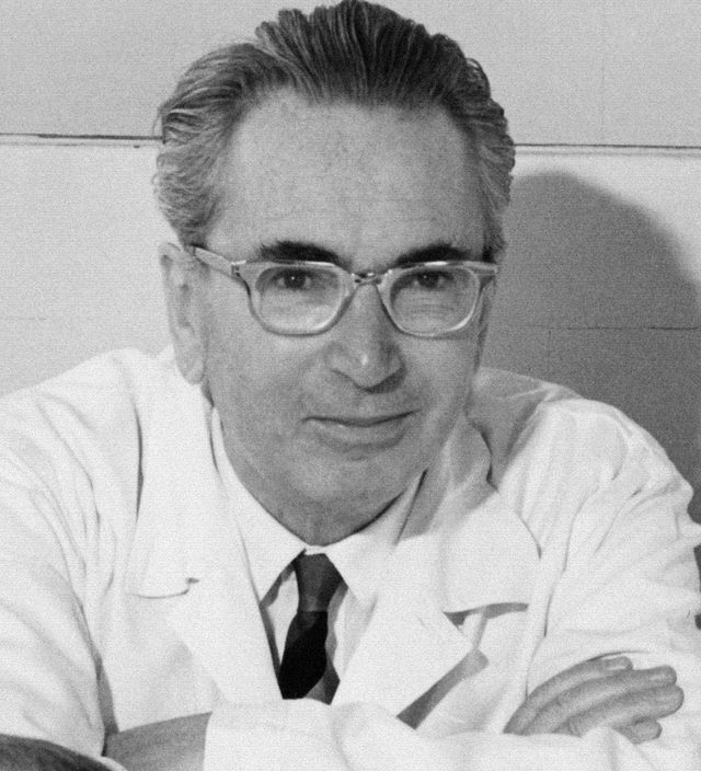 Viktor Frankl: quem foi e como ajudou a combater o suicídio entre jovens