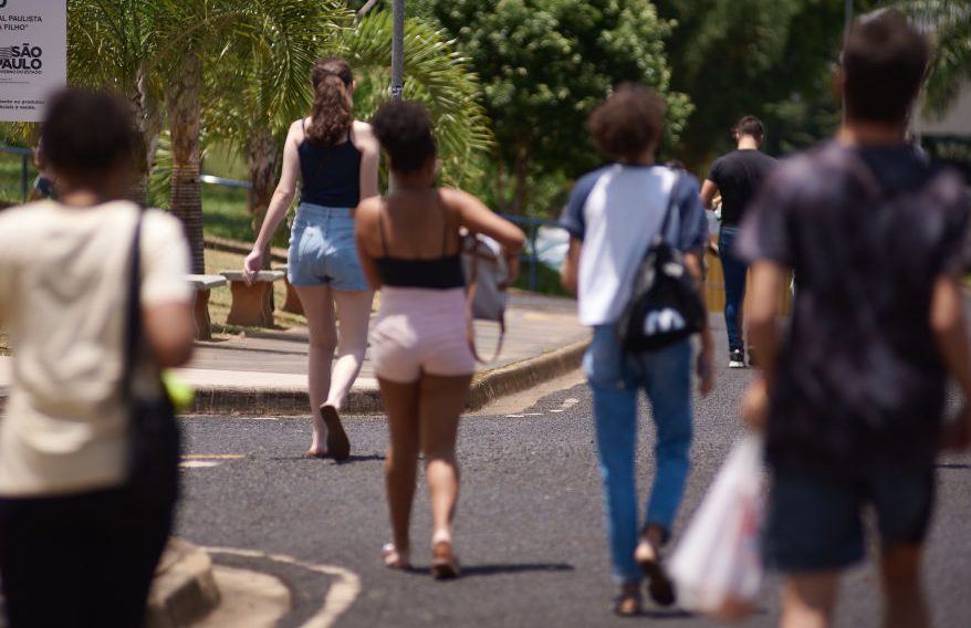 Segunda fase da Unesp: os conteúdos mais cobrados em cada disciplina