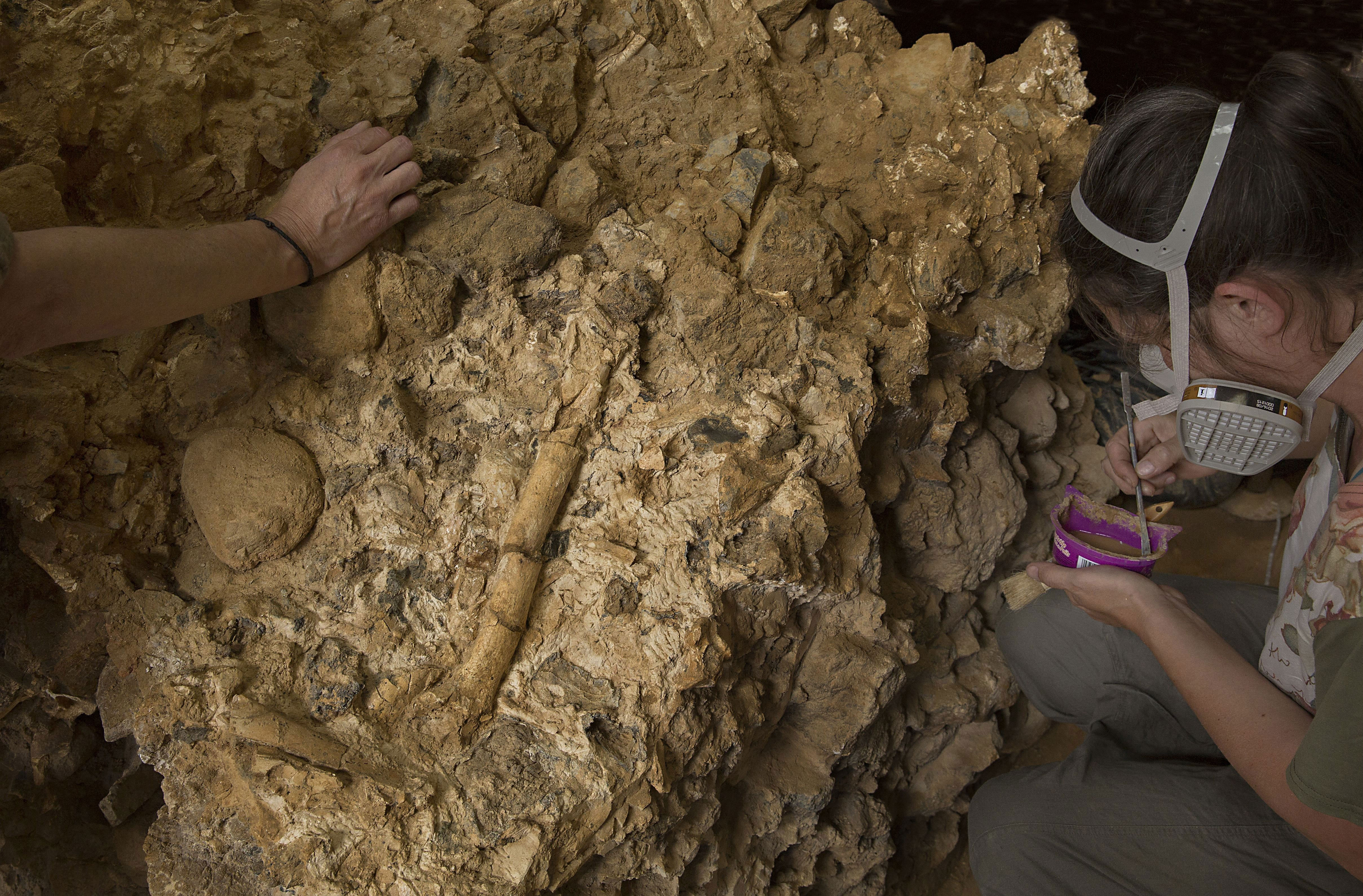 Pesquisadores retiram fêmur de um Homo heidelberguensis da parede de uma caverna em Tautavel, na França, em 2013; ele viveu 450 mil anos atrás