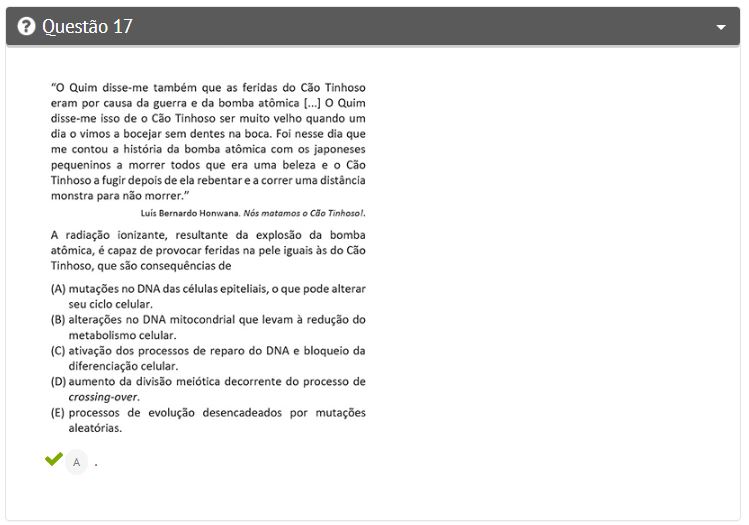 17_pergunta questão 17 primeira fase fuvest 2024