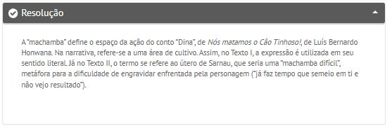 82_RESPOSTA questão 82 primeira fase fuvest 2024