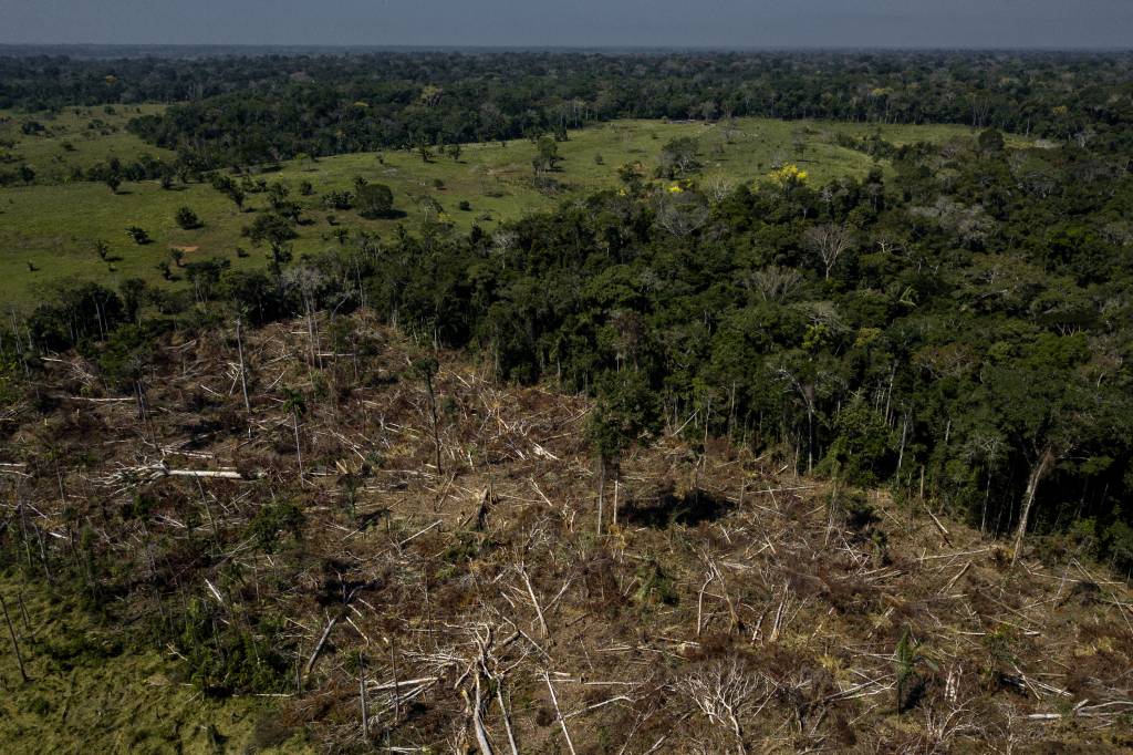 Entenda como a Amazônia afeta o clima do mundo todo