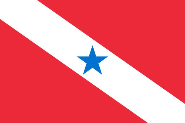 bandeira do pará