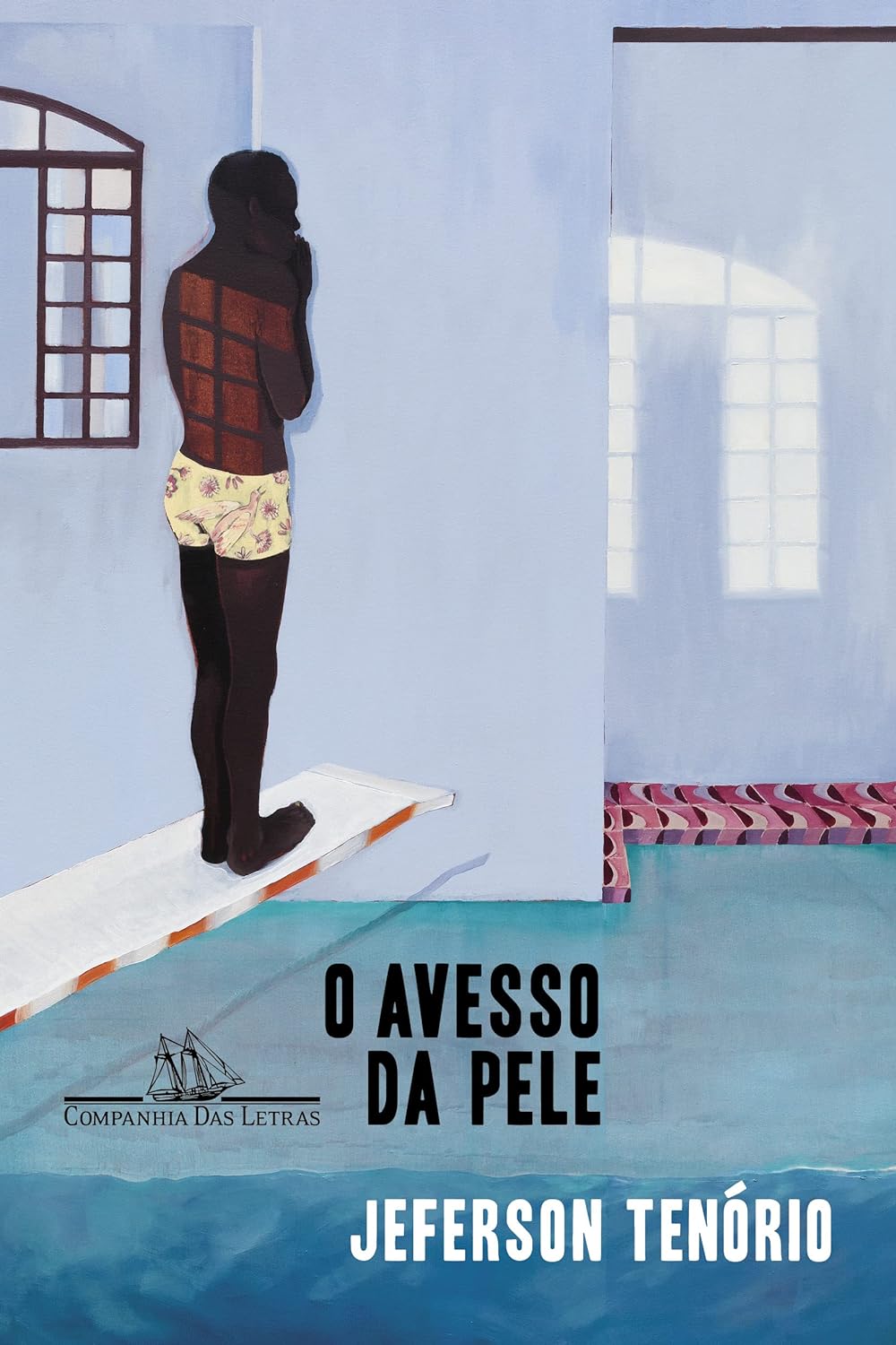 capa do livro avesso da pele