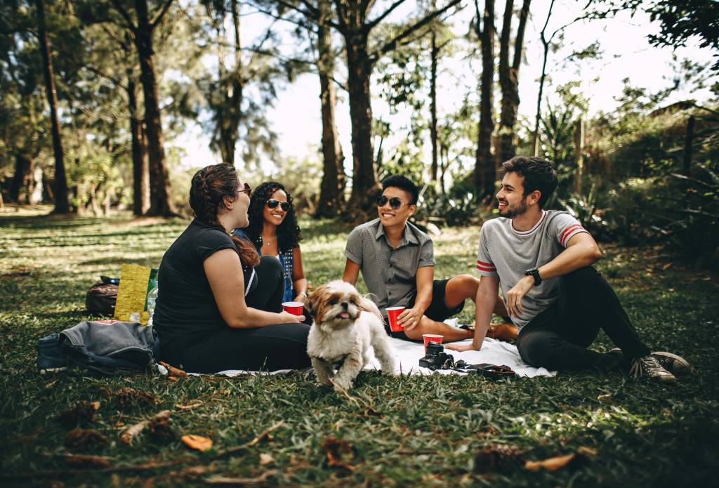 “Picnic” ou “piquenique”: qual o certo?