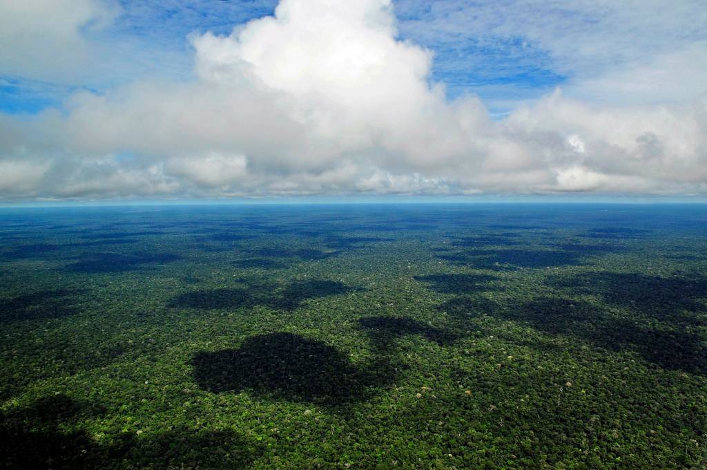 Além do Brasil, conheça os outros 7 países que compartilham a Amazônia