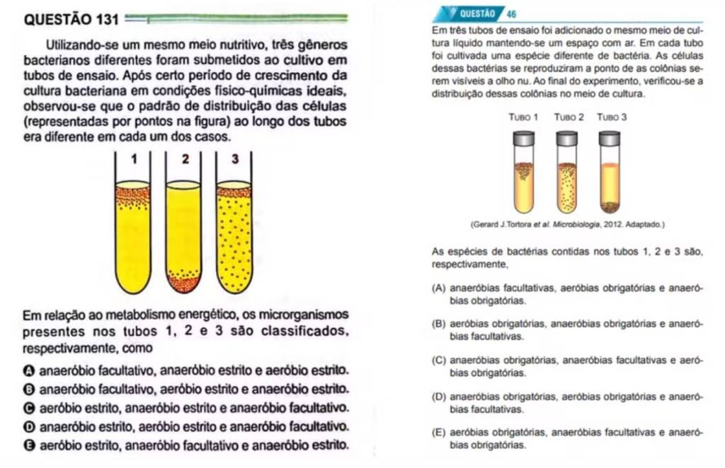 questoes iguais biologia questão biologia enem e vestibular universidade feira de santana