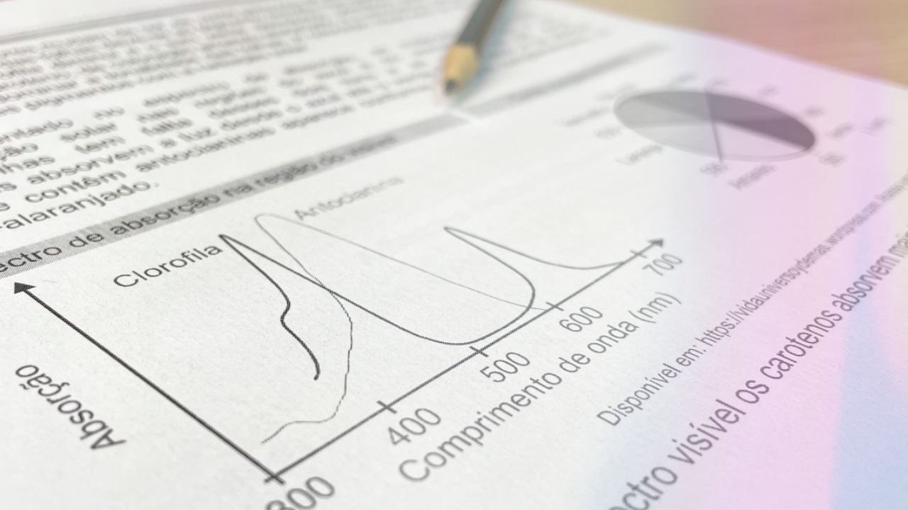 Prova de matemática do Enem