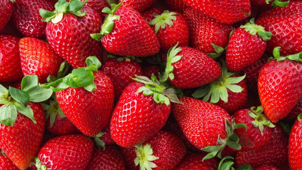 morango morango